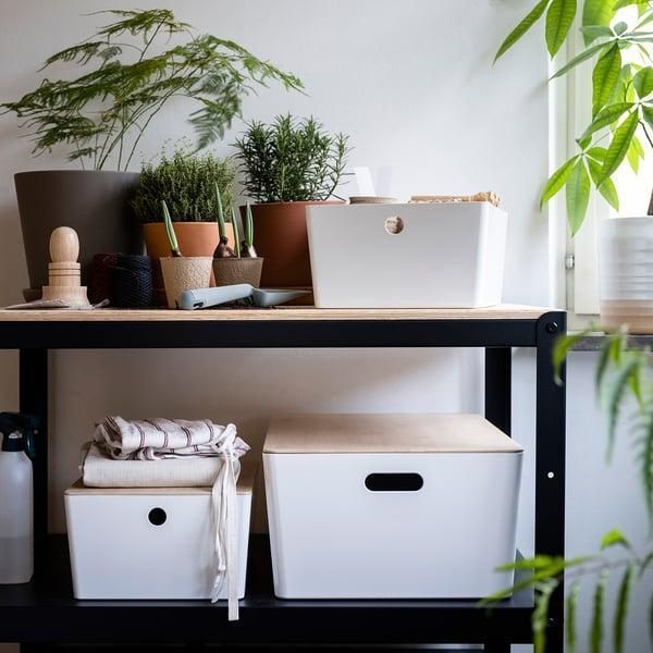 Контейнер с крышкой IKEA KUGGIS 26x35x15 см Белый / бамбук 395.612.88 395.612.88 ➜ Пакуємо МИ📦 фото