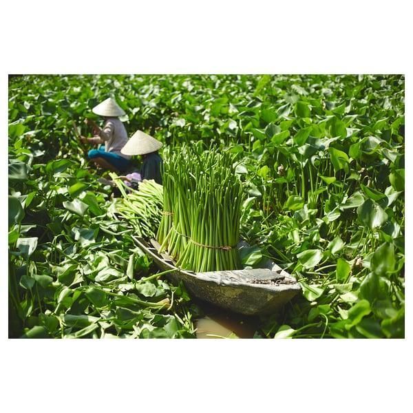 Кашпо IKEA FRIDFULL Висота - 21 см Ручна робота 906.282.85 906.282.85 ➜ Пакуємо МИ📦 фото