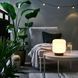 Светодиодная лампа на батарейках IKEA L&Auml;NSPORT Белая 605.759.19 605.759.19 ➜ Пакуємо МИ📦 фото 2