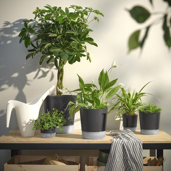 Самополивающийся цветочный горшок IKEA VÅRDTRÄD Диаметр - 15 см 905.708.59 905.708.59 ➜ Пакуємо МИ📦 фото Самополивающийся цветочный горшок IKEA VÅRDTRÄD Диаметр - 15 см 905.708.59 905.708.59 ➜ Пакуємо МИ📦 фото