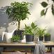 Самополивающийся цветочный горшок IKEA V&Aring;RDTR&Auml;D Диаметр - 15 см 905.708.59 905.708.59 ➜ Пакуємо МИ📦 фото 3
