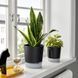 Самополивающийся цветочный горшок IKEA V&Aring;RDTR&Auml;D Диаметр - 15 см 905.708.59 905.708.59 ➜ Пакуємо МИ📦 фото 2