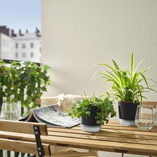 Самополивающийся цветочный горшок IKEA VÅRDTRÄD Диаметр - 9 см 105.708.63 105.708.63 ➜ Пакуємо МИ📦 фото Самополивающийся цветочный горшок IKEA VÅRDTRÄD Диаметр - 9 см 105.708.63 105.708.63 ➜ Пакуємо МИ📦 фото