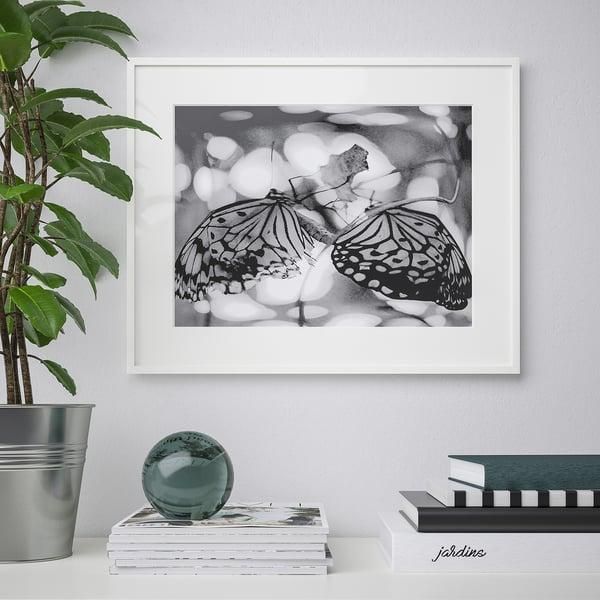 Рамка для фотографий IKEA LOMVIKEN 40x50 см Белая 304.194.64 304.194.64 ➜ Пакуємо МИ📦 фото Рамка для фотографий IKEA LOMVIKEN 40x50 см Белая 304.194.64 304.194.64 ➜ Пакуємо МИ📦 фото