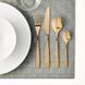 Набор столовых приборов IKEA TILLAGD 24 предмета 804.744.53 Золотистый 804.744.53 ➜ Пакуємо МИ📦 фото 2