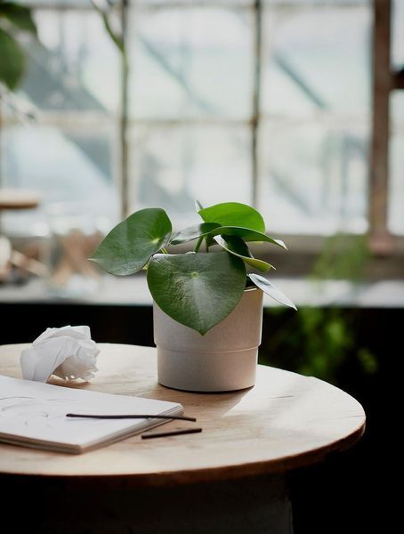 Горшок для цветов IKEA NYPON Диаметр - 12 см Серый 403.956.17 403.956.17 ➜ Пакуємо МИ📦 фото