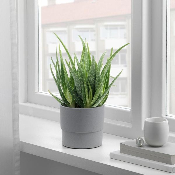 Горшок для цветов IKEA NYPON Диаметр - 12 см Серый 403.956.17 403.956.17 ➜ Пакуємо МИ📦 фото