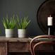 Горшок для цветов IKEA NYPON Диаметр - 12 см Серый 403.956.17 403.956.17 ➜ Пакуємо МИ📦 фото 3