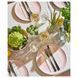 Набор столовых приборов IKEA TILLAGD 24 предмета 204.075.55 Серебристый 204.075.55 ➜ Пакуємо МИ📦 фото 4