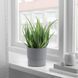 Горшок для цветов IKEA NYPON Диаметр - 12 см Серый 403.956.17 403.956.17 ➜ Пакуємо МИ📦 фото 5
