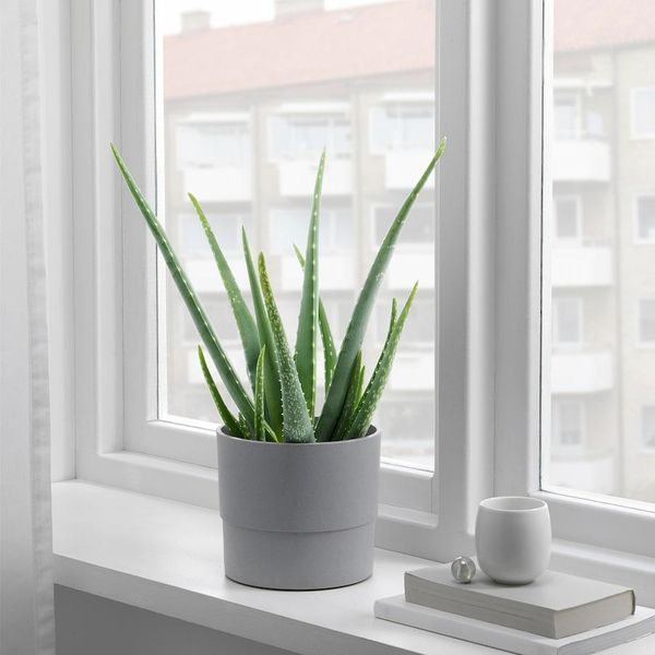 Горшок для цветов IKEA NYPON Диаметр - 15 см Серый 603.956.16 603.956.16 ➜ Пакуємо МИ📦 фото