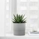 Горшок для цветов IKEA NYPON Диаметр - 15 см Серый 603.956.16 603.956.16 ➜ Пакуємо МИ📦 фото 2