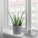 Горшок для цветов IKEA NYPON Диаметр - 15 см Серый 603.956.16 603.956.16 ➜ Пакуємо МИ📦 фото 3