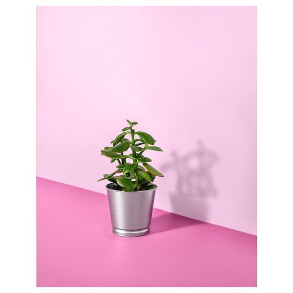 Горшок для цветов IKEA BINTJE Диаметр - 9 см Серебристый 803.341.27 803.341.27 ➜ Пакуємо МИ📦 фото
