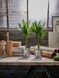 Горшок для цветов IKEA BINTJE Диаметр - 9 см Серебристый 803.341.27 803.341.27 ➜ Пакуємо МИ📦 фото 2