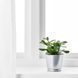 Горшок для цветов IKEA BINTJE Диаметр - 9 см Серебристый 803.341.27 803.341.27 ➜ Пакуємо МИ📦 фото 6