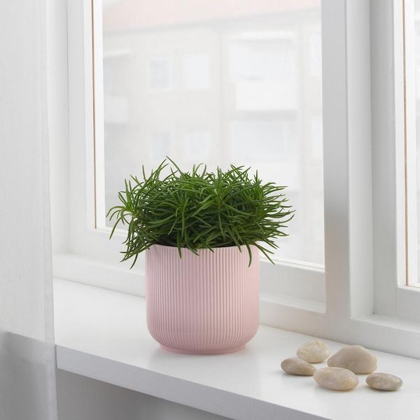 Горшок для цветов IKEA GRADVIS Высота - 12 см Розовый 604.140.78 604.140.78 ➜ Пакуємо МИ📦 фото