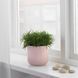 Горшок для цветов IKEA GRADVIS Высота - 12 см Розовый 604.140.78 604.140.78 ➜ Пакуємо МИ📦 фото 9