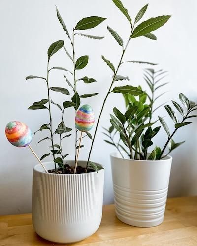 Горшок для цветов IKEA GRADVIS Диаметр - 15 см Керамический 404.140.79 404.140.79 ➜ Пакуємо МИ📦 фото