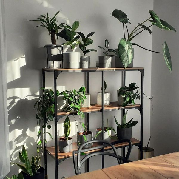 Горшок для цветов IKEA GRADVIS Диаметр - 15 см Керамический 404.140.79 404.140.79 ➜ Пакуємо МИ📦 фото