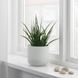 Горшок для цветов IKEA GRADVIS Диаметр - 15 см Керамический 404.140.79 404.140.79 ➜ Пакуємо МИ📦 фото 4