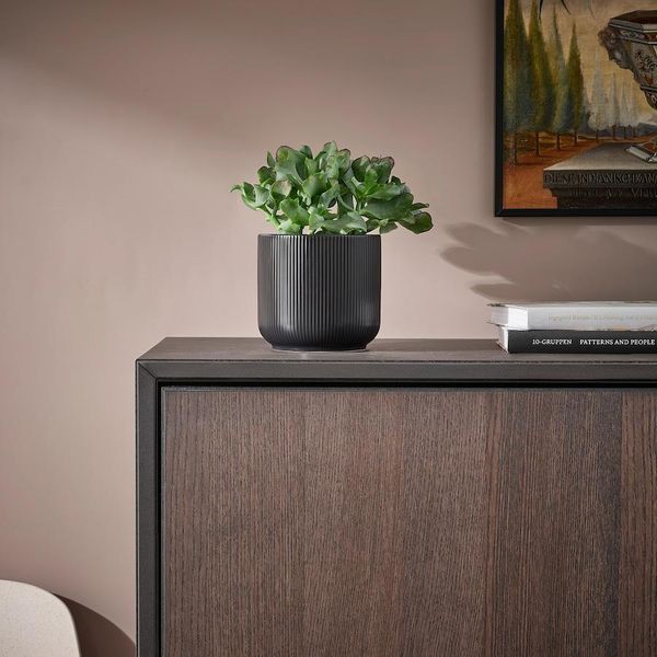 Горшок для цветов IKEA GRADVIS Высота - 12 см Керамический 504.947.92 504.947.92 ➜ Пакуємо МИ📦 фото Горшок для цветов IKEA GRADVIS Высота - 12 см Керамический 504.947.92 504.947.92 ➜ Пакуємо МИ📦 фото