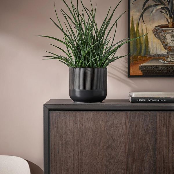 Горшок для цветов IKEA GRADVIS Диаметр - 15 см Керамический 504.947.87 504.947.87 ➜ Пакуємо МИ📦 фото