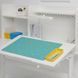 Настільний килимок IKEA B&Ouml;NSYRSA 705.619.07 Бірюзовий 705.619.07 ➜ Пакуємо МИ📦 фото 3
