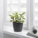 Горшок для цветов IKEA PERSILLADE Диаметр - 12 см Керамический 003.157.26 003.157.26 ➜ Пакуємо МИ📦 фото 4