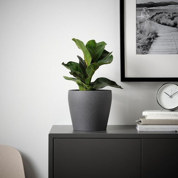 Горщик для квітів IKEA PERSILLADE Діаметр - 15 см Керамічний 005.256.11 005.256.11 ➜ Пакуємо МИ📦 фото Горщик для квітів IKEA PERSILLADE Діаметр - 15 см Керамічний 005.256.11 005.256.11 ➜ Пакуємо МИ📦 фото