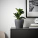 Горщик для квітів IKEA PERSILLADE Діаметр - 15 см Керамічний 005.256.11 005.256.11 ➜ Пакуємо МИ📦 фото 2
