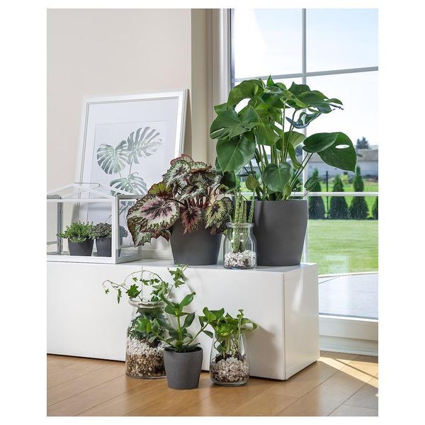 Горшок для цветов IKEA PERSILLADE Диаметр - 19 см Керамический 903.467.66 903.467.66 ➜ Пакуємо МИ📦 фото
