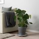Горшок для цветов IKEA PERSILLADE Диаметр - 19 см Керамический 903.467.66 903.467.66 ➜ Пакуємо МИ📦 фото 3