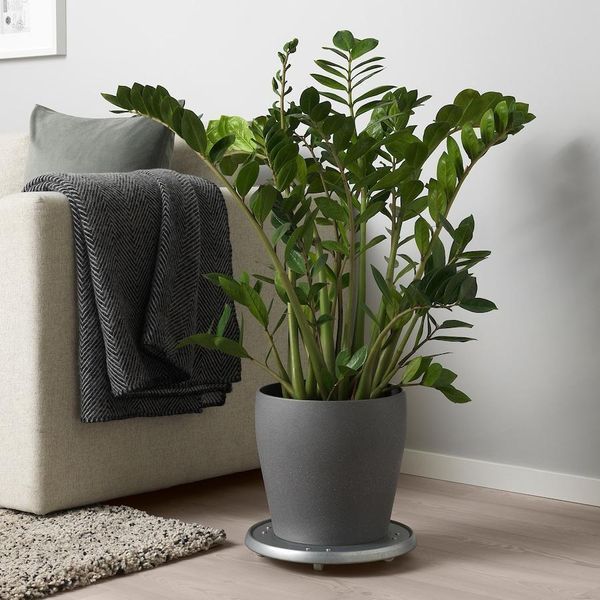 Горщик для квітів IKEA PERSILLADE Діаметр - 24 см Керамічний 103.467.65 103.467.65 ➜ Пакуємо МИ📦 фото Горщик для квітів IKEA PERSILLADE Діаметр - 24 см Керамічний 103.467.65 103.467.65 ➜ Пакуємо МИ📦 фото