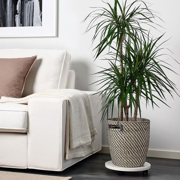 Горщик для квітів IKEA RÅGKORN Діаметр - 24 см Для дому / вулиці 004.075.56 004.075.56 ➜ Пакуємо МИ📦 фото Горщик для квітів IKEA RÅGKORN Діаметр - 24 см Для дому / вулиці 004.075.56 004.075.56 ➜ Пакуємо МИ📦 фото