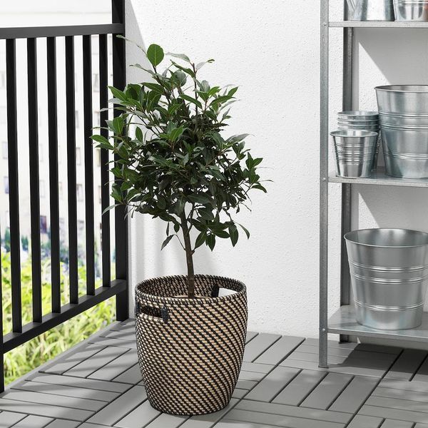 Горщик для квітів IKEA RÅGKORN Діаметр - 24 см Для дому / вулиці 004.075.56 004.075.56 ➜ Пакуємо МИ📦 фото Горщик для квітів IKEA RÅGKORN Діаметр - 24 см Для дому / вулиці 004.075.56 004.075.56 ➜ Пакуємо МИ📦 фото