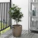 Горщик для квітів IKEA R&Aring;GKORN Діаметр - 24 см Для дому / вулиці 004.075.56 004.075.56 ➜ Пакуємо МИ📦 фото 3