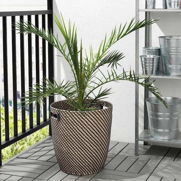 Горщик для квітів IKEA RÅGKORN Діаметр - 32 см Для дому / вулиці 404.075.59 404.075.59 ➜ Пакуємо МИ📦 фото Горщик для квітів IKEA RÅGKORN Діаметр - 32 см Для дому / вулиці 404.075.59 404.075.59 ➜ Пакуємо МИ📦 фото