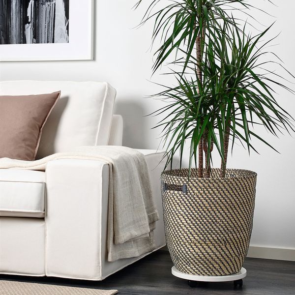 Горщик для квітів IKEA RÅGKORN Діаметр - 32 см Для дому / вулиці 404.075.59 404.075.59 ➜ Пакуємо МИ📦 фото Горщик для квітів IKEA RÅGKORN Діаметр - 32 см Для дому / вулиці 404.075.59 404.075.59 ➜ Пакуємо МИ📦 фото