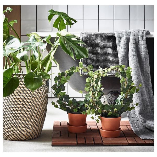 Горщик для квітів IKEA RÅGKORN Діаметр - 32 см Для дому / вулиці 404.075.59 404.075.59 ➜ Пакуємо МИ📦 фото Горщик для квітів IKEA RÅGKORN Діаметр - 32 см Для дому / вулиці 404.075.59 404.075.59 ➜ Пакуємо МИ📦 фото