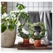 Горщик для квітів IKEA R&Aring;GKORN Діаметр - 32 см Для дому / вулиці 404.075.59 404.075.59 ➜ Пакуємо МИ📦 фото 2