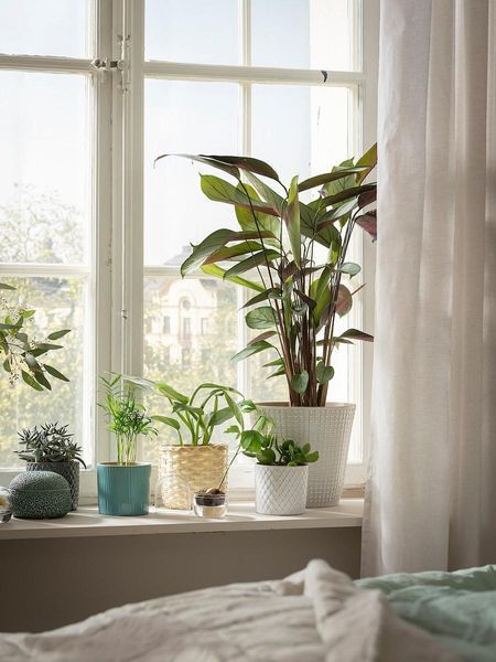 Горщик для квітів IKEA CHIAFRÖN Діаметр - 9 см Керамічний 004.419.04 004.419.04➜ Пакуємо МИ📦 фото Горщик для квітів IKEA CHIAFRÖN Діаметр - 9 см Керамічний 004.419.04 004.419.04➜ Пакуємо МИ📦 фото