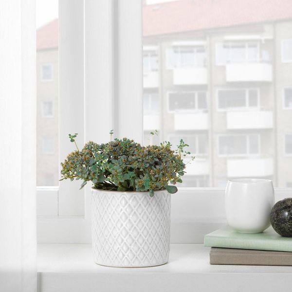 Горщик для квітів IKEA CHIAFRÖN Діаметр - 9 см Керамічний 004.419.04 004.419.04➜ Пакуємо МИ📦 фото Горщик для квітів IKEA CHIAFRÖN Діаметр - 9 см Керамічний 004.419.04 004.419.04➜ Пакуємо МИ📦 фото