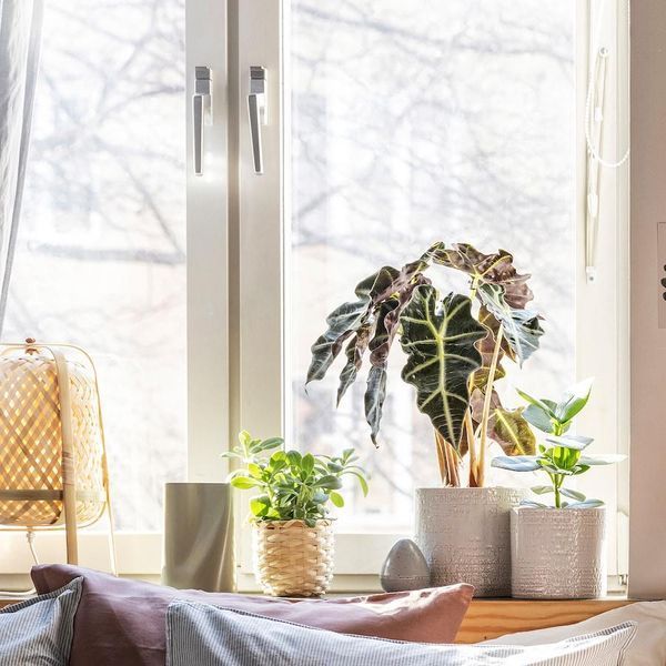 Горщик для квітів IKEA CHIAFRÖN Діаметр - 15 см Керамічний 604.757.93 604.757.93 ➜ Пакуємо МИ📦 фото Горщик для квітів IKEA CHIAFRÖN Діаметр - 15 см Керамічний 604.757.93 604.757.93 ➜ Пакуємо МИ📦 фото