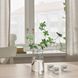 Ваза IKEA TIDVATTEN Высота - 17 см Стеклянная 704.170.24 704.170.24 ➜ Пакуємо МИ📦 фото 6