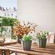 Горшок для цветов IKEA BUSKVERK Диаметр - 9 см Серый 305.444.58 305.444.58 ➜ Пакуємо МИ📦 фото 3