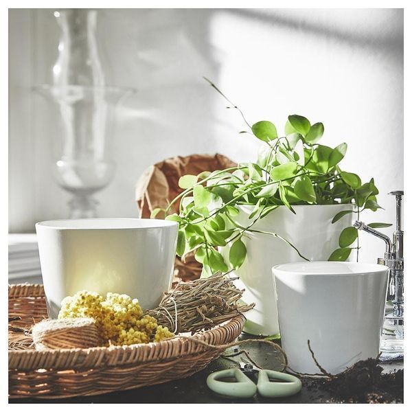 Горщик для квітів IKEA SOJABÖNA Діаметр - 12 см Білий 005.335.88 005.335.88 ➜ Пакуємо МИ📦 фото Горщик для квітів IKEA SOJABÖNA Діаметр - 12 см Білий 005.335.88 005.335.88 ➜ Пакуємо МИ📦 фото