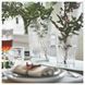 Ваза IKEA SM&Auml;LLSPIREA Высота - 17 см Стеклянная 905.421.78 905.421.78 ➜ Пакуємо МИ📦 фото 3