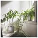 Ваза IKEA SM&Auml;LLSPIREA Высота - 17 см Стеклянная 905.421.78 905.421.78 ➜ Пакуємо МИ📦 фото 8