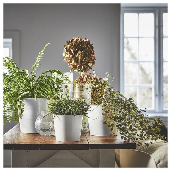 Горшок для цветов IKEA SOJAB&Ouml;NA Диаметр - 15 см Белый 705.335.75 705.335.75 ➜ Пакуємо МИ📦 фото